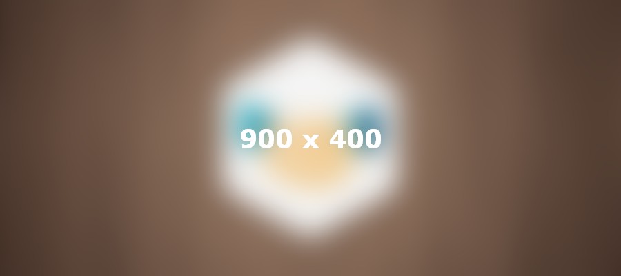 Donor Finding Program